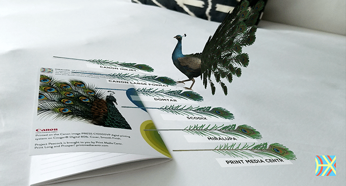 Miralupa AR Project Peacock Print Media Centr