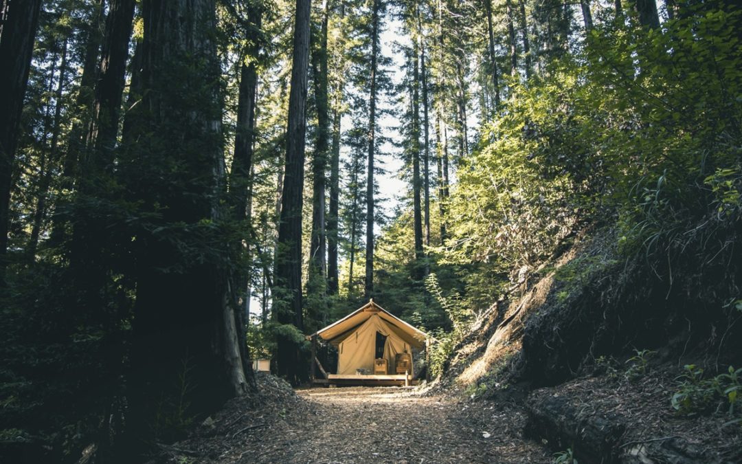 What Can Glamping Teach Us About Customer Experience?